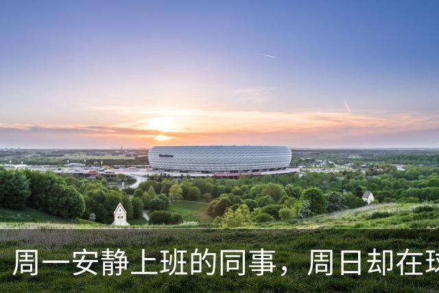 周一安静上班的同事，周日却在球场嘶吼辱骂——足球如何偷走你的理智？